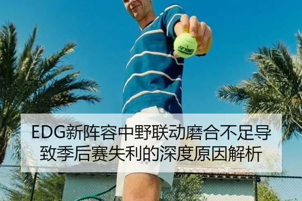EDG新阵容中野联动磨合不足导致季后赛失利的深度原因解析